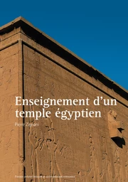 Enseignement d'un temple égyptien 