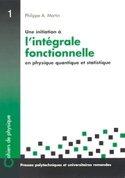 Une initiation à l'intégrale fonctionnelle en physique quantique et statistique