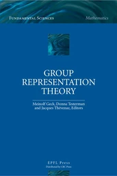 Group Representation Theory 