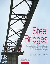 Steel Bridges 