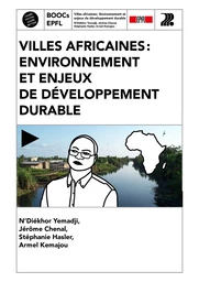 Villes africaines : environnement et enjeux  de développement durable