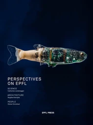 Perspectives on EPFL 