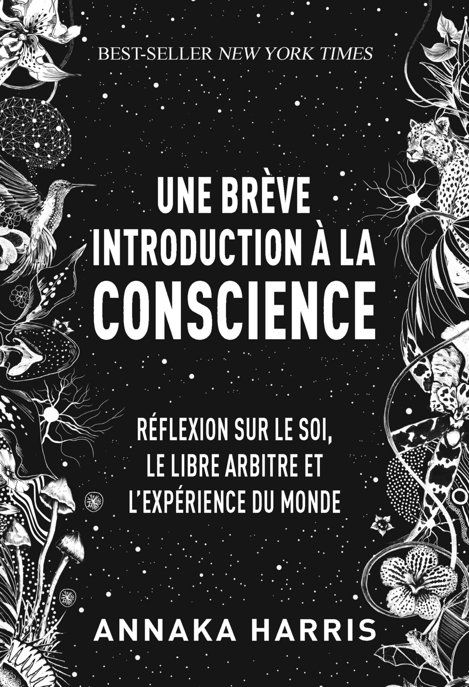 Le mystère de la conscience