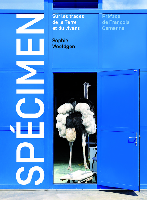 Spécimen  - Sophie Woeldgen - Éditions 41