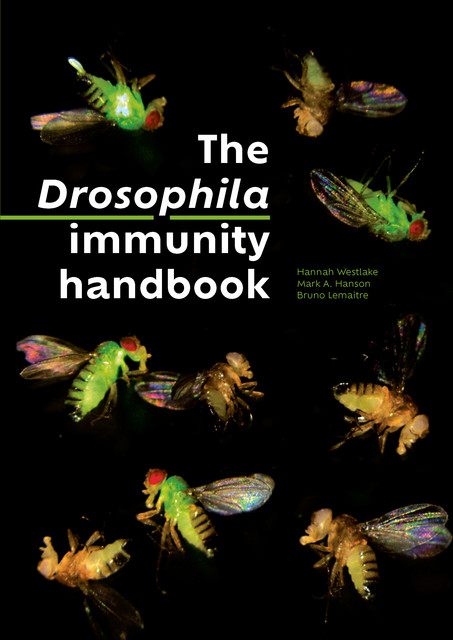 The Drosophila immunity handbook  - Hannah Westlake, Mark A. Hanson, Bruno Lemaitre - EPFL Press English Imprint